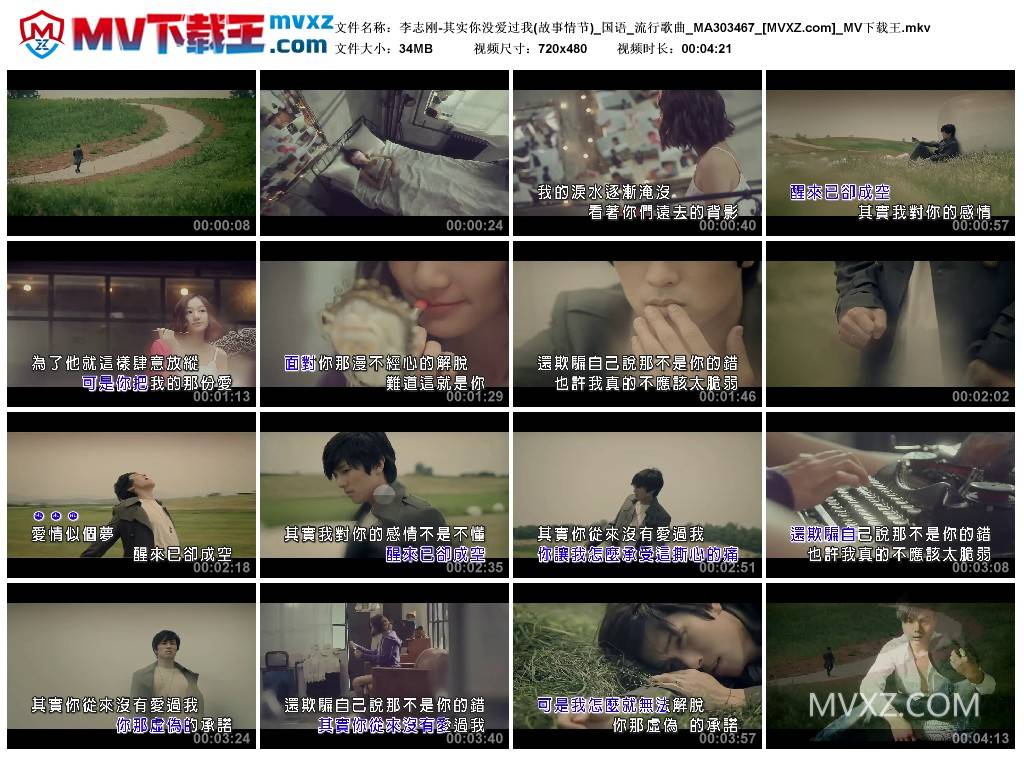 李志刚-其实你没爱过我(故事情节)_国语_流行歌曲_MA303467